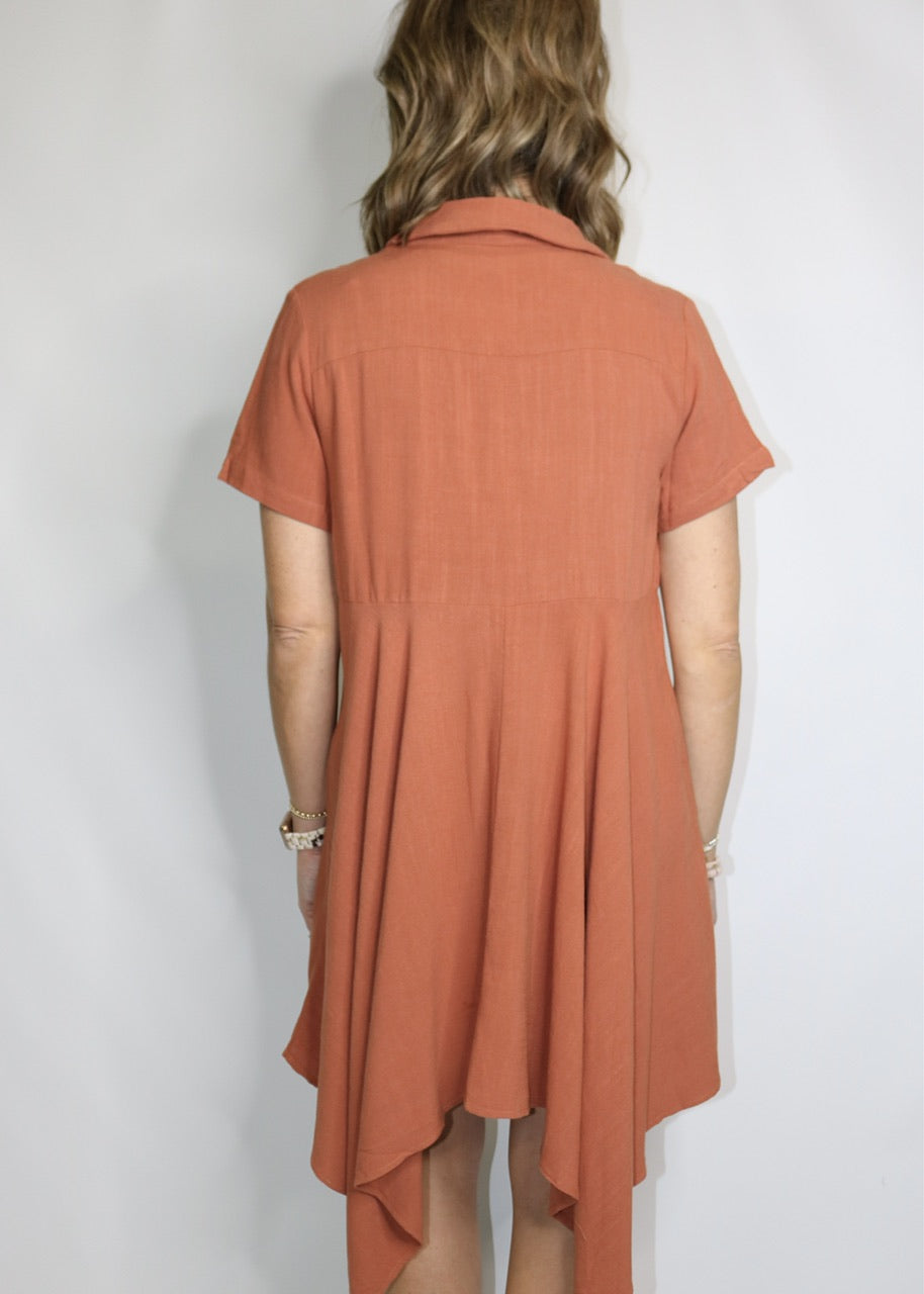 WASTE NO TIME DRESS - RUST